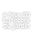 La lettre d'information du Jardin