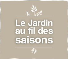 jardin fil saisons